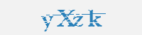 보안문자